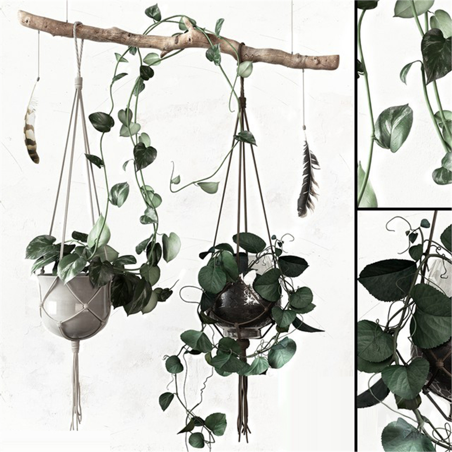 PLANTSET